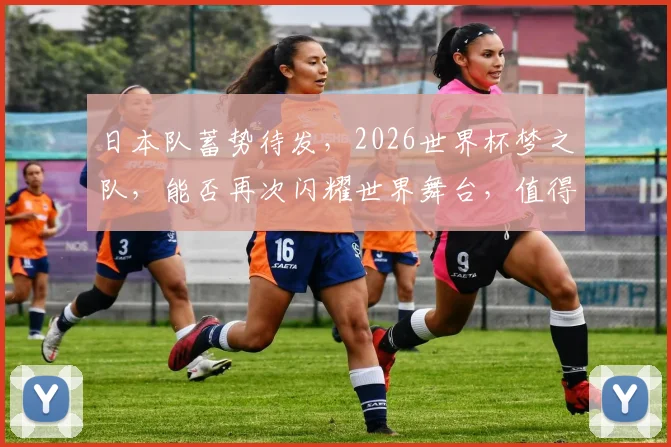 日本队蓄势待发，2026世界杯梦之队，能否再次闪耀世界舞台，值得期待