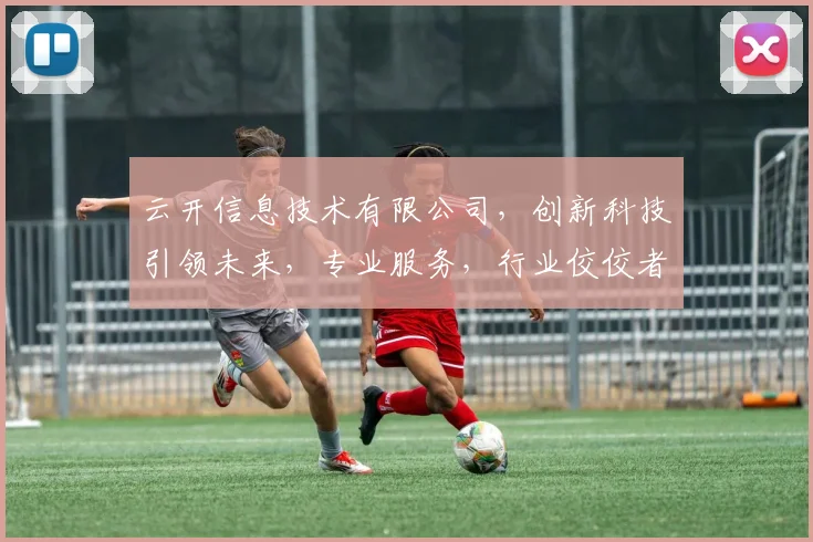 云开信息技术有限公司，创新科技引领未来，专业服务，行业佼佼者，值得信赖。