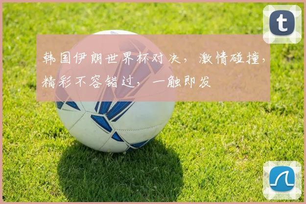 韩国伊朗世界杯对决，激情碰撞，精彩不容错过，一触即发