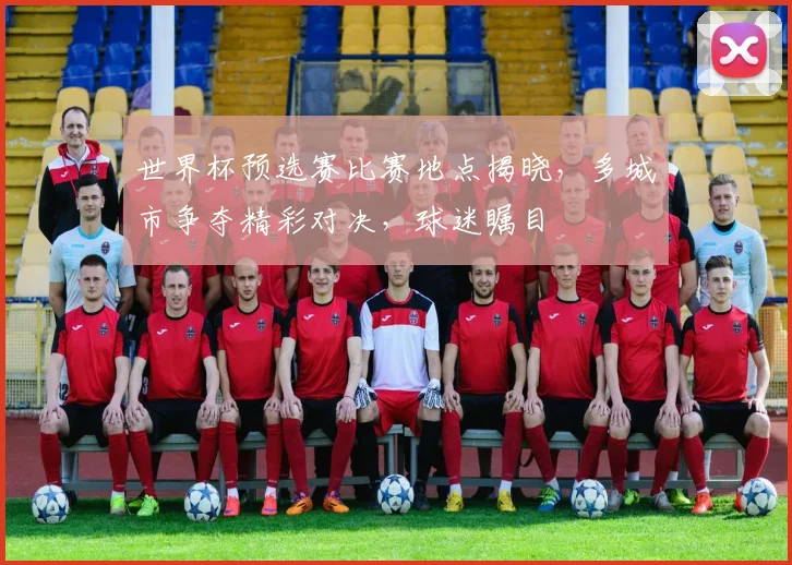 世界杯预选赛比赛地点揭晓，多城市争夺精彩对决，球迷瞩目